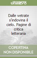 Dalle vetrate s'indovina il cielo. Pagine di critica letteraria libro