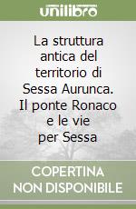 La struttura antica del territorio di Sessa Aurunca. Il ponte Ronaco e le vie per Sessa libro