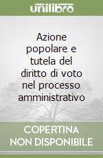 Azione popolare e tutela del diritto di voto nel processo amministrativo libro