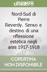 Nord-Sud di Pierre Reverdy. Senso e destino di una riflessione estetica negli anni 1917-1918 libro