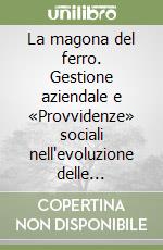 La magona del ferro. Gestione aziendale e «Provvidenze» sociali nell'evoluzione delle fabbriche del Granducato di Toscana (XVIII-XIX secolo)