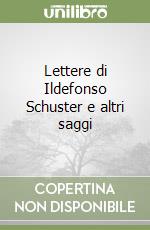 Lettere di Ildefonso Schuster e altri saggi libro