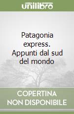 Patagonia express. Appunti dal sud del mondo libro