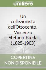 Un collezionista dell'Ottocento. Vincenzo Stefano Breda (1825-1903)