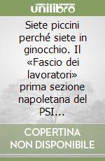 Siete piccini perché siete in ginocchio. Il «Fascio dei lavoratori» prima sezione napoletana del PSI (1893-1894) libro