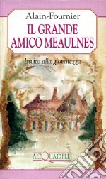 Il grande amico Meaulnes. Invito alla giovinezza libro