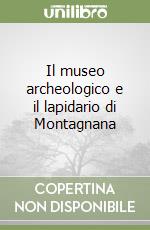 Il museo archeologico e il lapidario di Montagnana libro