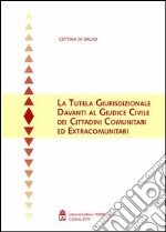 La tutela giurisprudenziale davanti al giudice civile dei cittadini comunitari ed extracomunitari libro