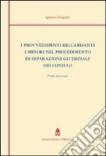 I provvedimenti riguardanti minori nel procedimento di separazione giudiziale dei coniugi. Profili processuali libro