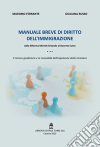 Manuale breve di diritto dell'immigrazione dalla Riforma Minniti-Orlando al Decreto Cutro libro