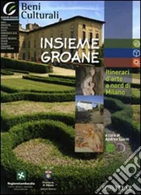 Insieme Groane. Itinerari d'arte a nord di Milano. Con CD-ROM libro
