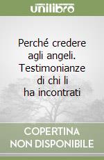 Perché credere agli angeli. Testimonianze di chi li ha incontrati libro