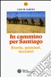 In cammino per Santiago. Storie, pensieri, incontri libro