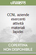 CCNL aziende esercenti attività materiali lapidei libro