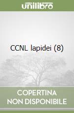 CCNL lapidei (8)
