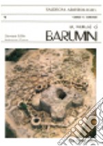 Nuraxi di Barumini (Su). Ediz. tedesca