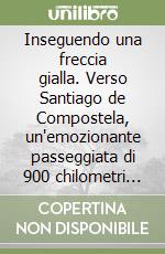 Inseguendo una freccia gialla. Verso Santiago de Compostela, un'emozionante passeggiata di 900 chilometri dai Pirenei francesi all'Oceano. Ediz. illustrata libro