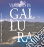 Viaggio in Gallura. Ediz. italiana e inglese libro