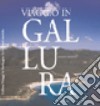 Viaggio in Gallura. Ediz. italiana e inglese libro