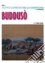 Buddusò. Tutti i comuni della Sardegna libro