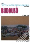 Buddusò. Tutti i comuni della Sardegna libro