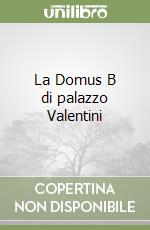 La Domus B di palazzo Valentini libro