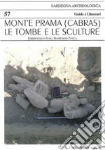 Mont'e Prama (Cabras). Le tombe e le sculture libro