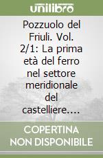 Pozzuolo del Friuli. Vol. 2/1: La prima età del ferro nel settore meridionale del castelliere. Lo scavo e la ceramica