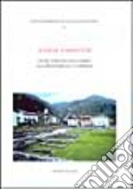 Iulium Carnicum. Centro alpino tra Italia e Norico dalla protostoria all'età imperiale. Atti del Convegno (Arta Terme-Cividale, 1995) libro