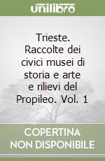Trieste. Raccolte dei civici musei di storia e arte e rilievi del Propileo. Vol. 1 libro