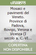 Mosaici e pavimenti del Veneto. Province di Padova, Rovigo, Verona e Vicenza (I secolo a. C.-VI secolo a. C.). Ediz. illustrata libro