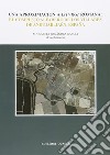 Una aproximación a Istvrgi romana. El complejo alfarero de Los Villares de Andújar, Jaén, España libro