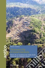 Terravecchia di Grammichele. Storia di un insediamento della Sicilia orientale tra indigeni e Greci