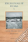 Excavations at Ficana. Vol. 5: Casa sul pianoro: Zona 5A libro