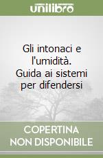 Gli intonaci e l'umidità. Guida ai sistemi per difendersi