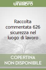 Raccolta commentata 626 sicurezza nel luogo di lavoro