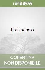 Il dispendio