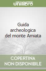 Guida archeologica del monte Amiata libro