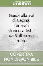 Guida alla val di Cecina. Itinerari storico-artistici da Volterra al mare