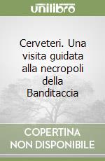 Cerveteri. Una visita guidata alla necropoli della Banditaccia libro