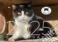 Cassiodaily 2025