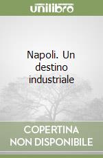 Napoli. Un destino industriale libro