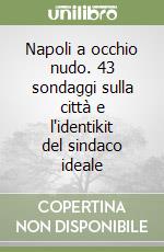 Napoli a occhio nudo. 43 sondaggi sulla città e l'identikit del sindaco ideale libro