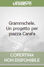 Grammichele. Un progetto per piazza Carafa libro