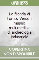 La filanda di Forno. Verso il museo multimediale di archeologia industriale libro