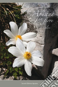 Apuane in fiore