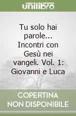 Tu solo hai parole... Incontri con Gesù nei vangeli. Vol. 1: Giovanni e Luca libro