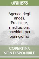 Agenda degli angeli. Preghiere, meditazioni, aneddoti per ogni giorno libro