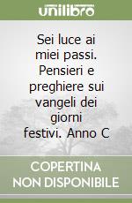 Sei luce ai miei passi. Pensieri e preghiere sui vangeli dei giorni festivi. Anno C libro