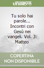 Tu solo hai parole... Incontri con Gesù nei vangeli. Vol. 3: Matteo libro